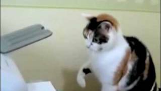 Printer Problems At Home?