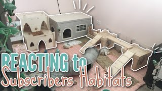 Reviewing YOUR Rabbit Habitats