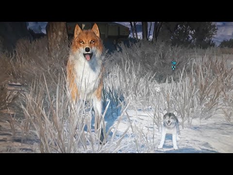 Mgs5 Tpp D Dog重複バグ D Dog 子犬 Youtube