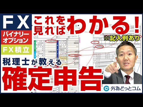   FX 為替 これを見ればFXの確定申告がわかる 税理士がポイントや書き方を解説 2021年度版