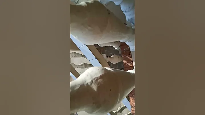 Es mi casa