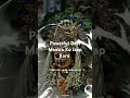 Devi Mantra Change Your Life In 30 Minutes? Hindi #shorts