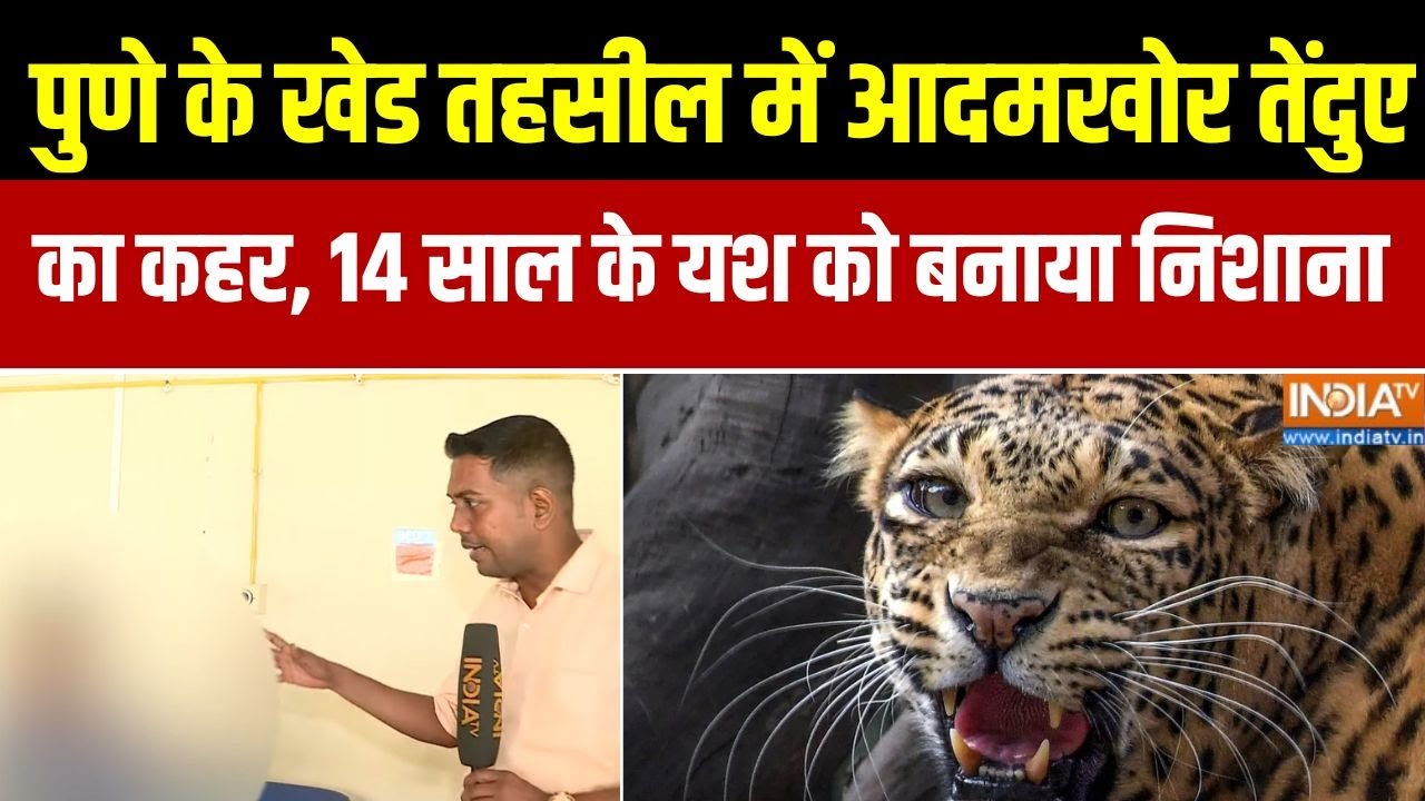 Leopard Attack On Child : पुणे के खेड तहसील में आदमखोर तेंदुए का कहर,14 साल के यश को बनाया निशाना