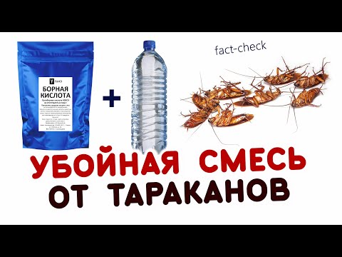 Смертельное питье для тараканов с БОРНОЙ КИСЛОТОЙ