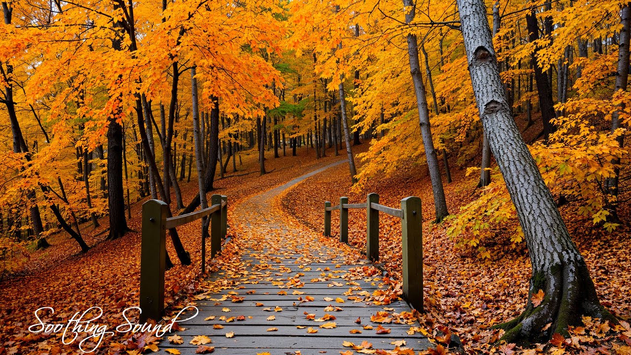 Beautiful Relaxing Music 🍁 Stop Overthinking, Stress Relief Music With Autumn Melodie