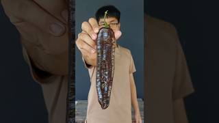 Loại ớt lớn nhất Thế Giới #thuthach