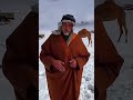 منظر جميل شمال السعودية يا سلام 