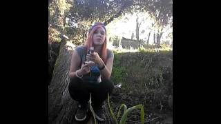 Fallen Tree Smoke Sesh