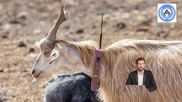 EARLY WARNING SIGNS OF EMERGENCIES