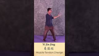 10 reasons to learn the Yi Jin Jing (1   5)