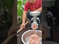 Fish Mincing Machine in Cucumber Farm | Fresh Fish Processing