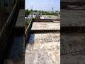 छत ढलाई (Roof Slab Casting) की पूरी तैयारी | Beam और Slab Steel Binding Work | Construction #shorts