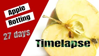 Timelapse Apple rotting 4K - Food Time-lapse
