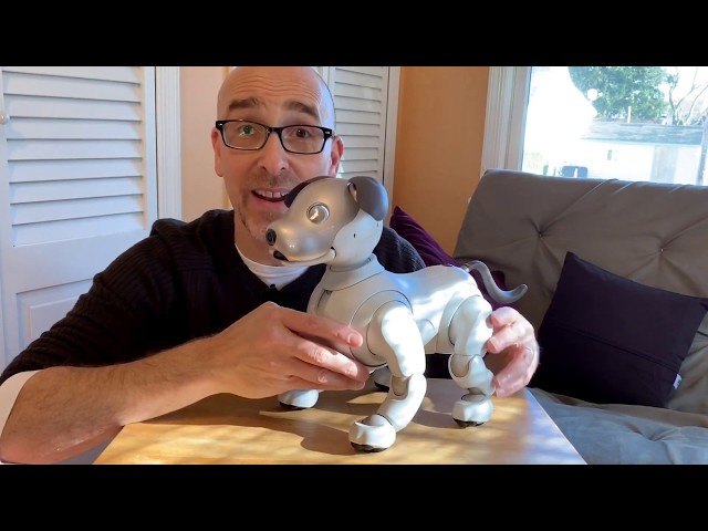 Sony Aibo ERS-1000 Review: It's the Ultimate Robot Dog! - YouTube