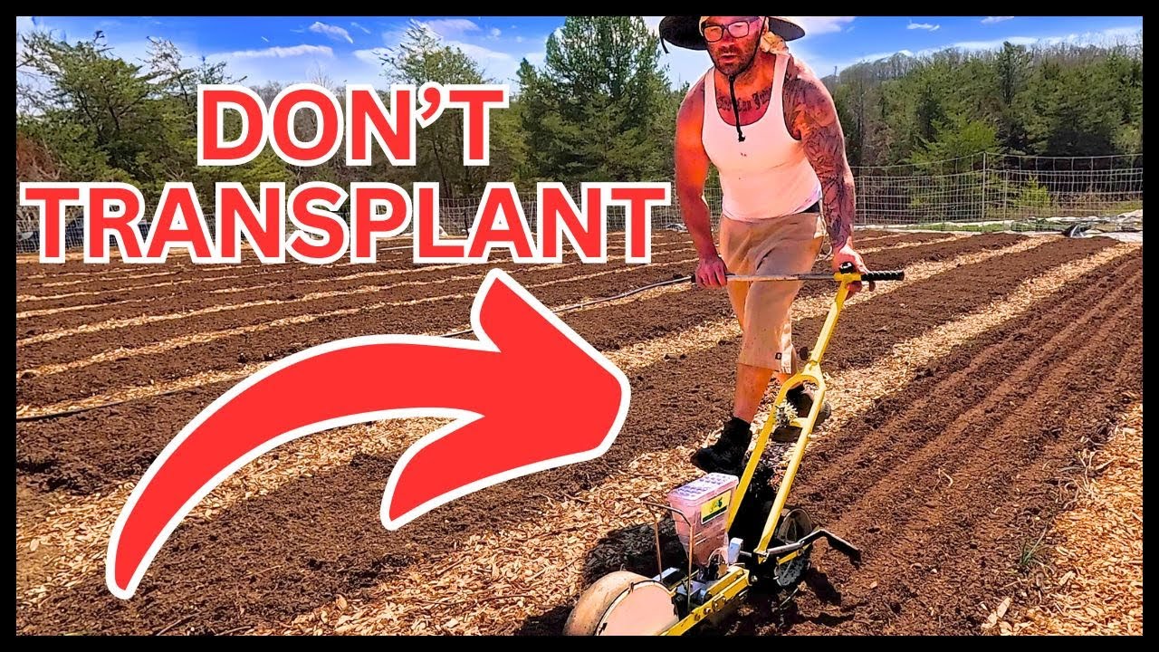 DIRECT SEED THESE 5 CROPS TO MAXIMIZE PROFITS! (LESS WORK = MORE MONEY)