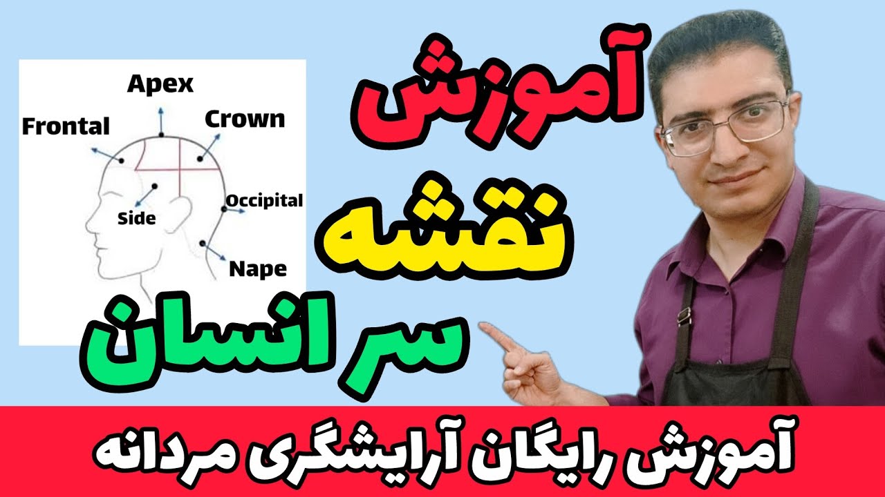 آموزش نقشه سر انسان و نام گذاری نواحی سر