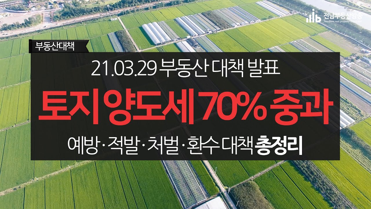 토지 양도세 70% 중과┃329대책 총정리┃부동산대책 양도소득세 중과세율 인상┃비사업용 토지 강화┃농지취득 심사강화┃LTV규제┃농업진흥구역 제한 - 전남부동산방송 -