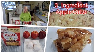 Three Ingredient Apple Cake