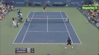 Novak Djokovic crazy defensive skills vs Del Potro (HD)
