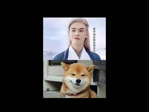 龚俊Simon  张哲瀚   浪浪钉  这都是亲粉丝   夺笋   笋都被采光了
