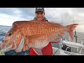 Slow Jigging Reef Fish (catch, clean, cook)