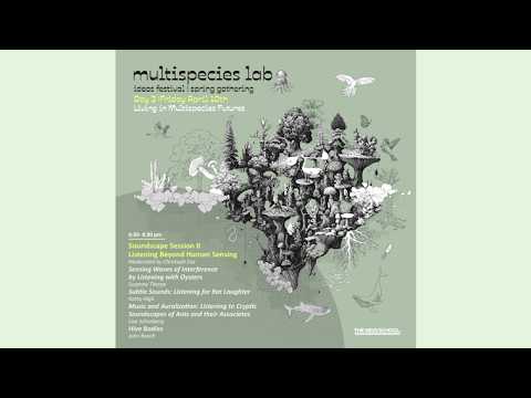 Soundscape Session II
