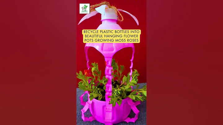 Recycle Plastic Bottles into Beautiful Hanging Flower Pots #shorts #recycle plasticbottles #hanging