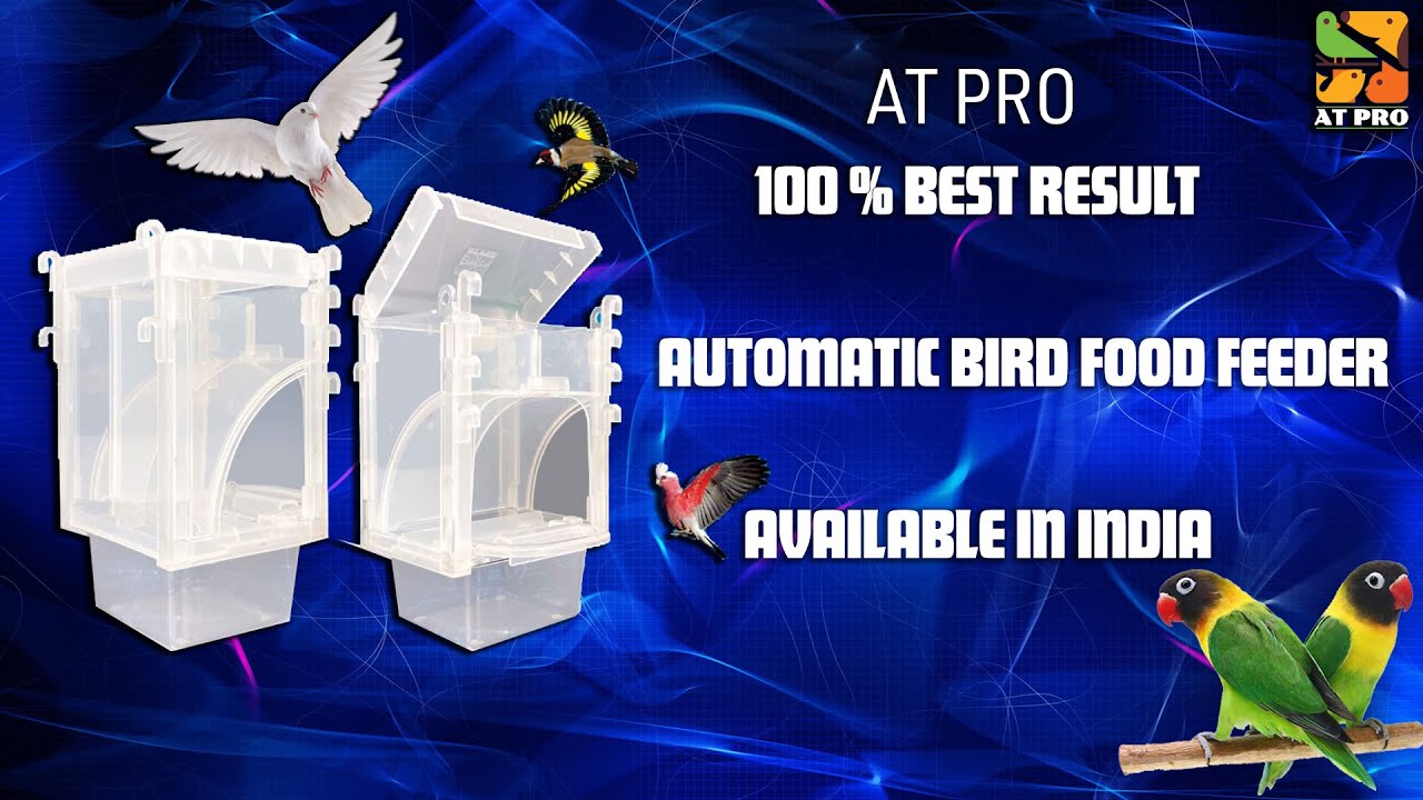 Birds automatic food feeder Exotic bird food feeder Automatic bird