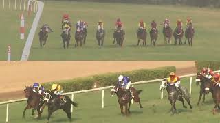 BUBBLY BOY wins The HPSL Rajasthani Cup