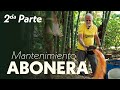 MANTENIMIENTO DE ABONERA *cómo acelerar los porcesos dentro de la abonera* | Jairo Restrepo Rivera