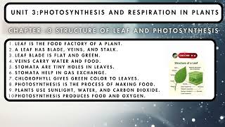 Unit 3 Photosynthesis and Respiration in Plants Chapter 3 Structure of Leaf and Photosynthesis