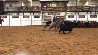 SDP Buffalo Ranch - Sannman