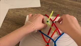 Lab 6 Mitosis and Meiosis - Rowland
