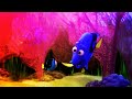 FINDING DORY - OKAY?? OKAY?? (SPARTA PITCH SPONSORED BY GAMAVISION CSUPO EFFECTS)