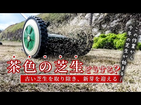 【３月４月お手入れ】茶色の葉をリセット＆新芽の準備🌱育ちやすい『土作り』スタート！