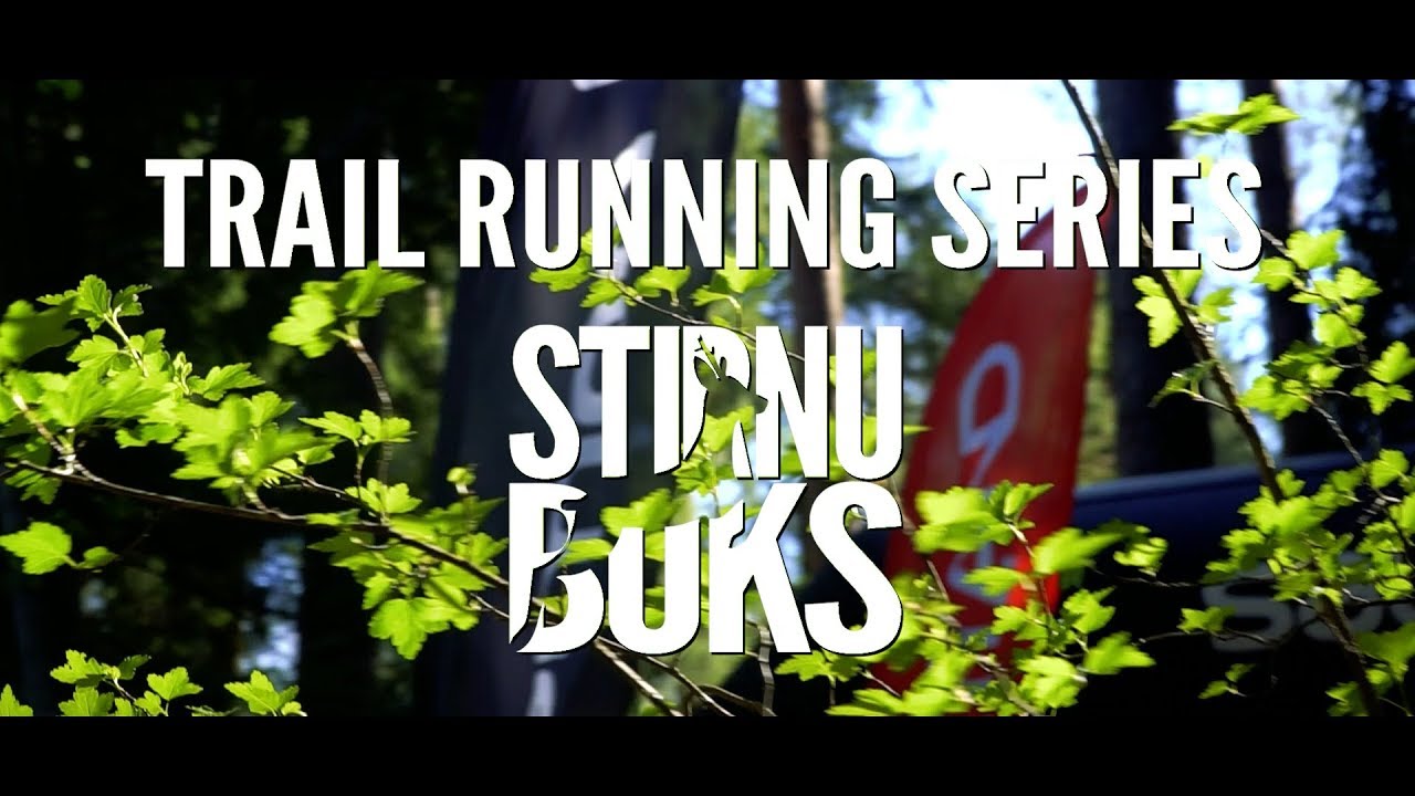 Run Into The Woods YouTube