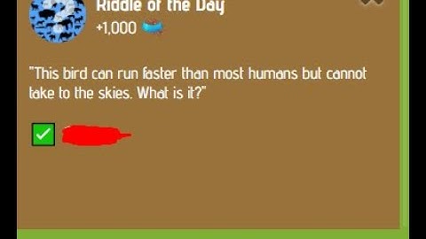 Zoo Riddle Of The Day 13 14 January