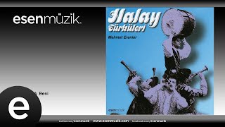 Mehmet Erenler - Dağlar Dağladı Beni Resimi