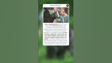 Koko the Gorilla Signed “Cry” After Robin Williams Died 🦍💔😭