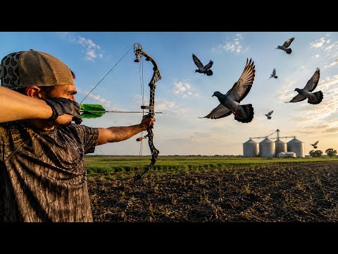 Bowhunting Flying Pigeons! (Crazy Shots)