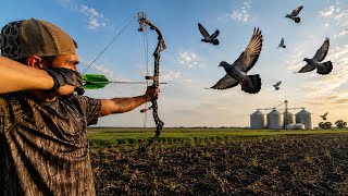 Bowhunting Flying Pigeons! (Crazy Shots) 