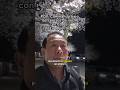 POV: Caminando bajo los cerezos de noche en Corea con tu abuelito 🌙✨