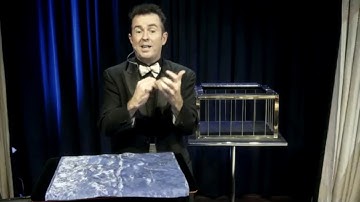 Exclusive Live Magic Show for Remote or Virtual Teams