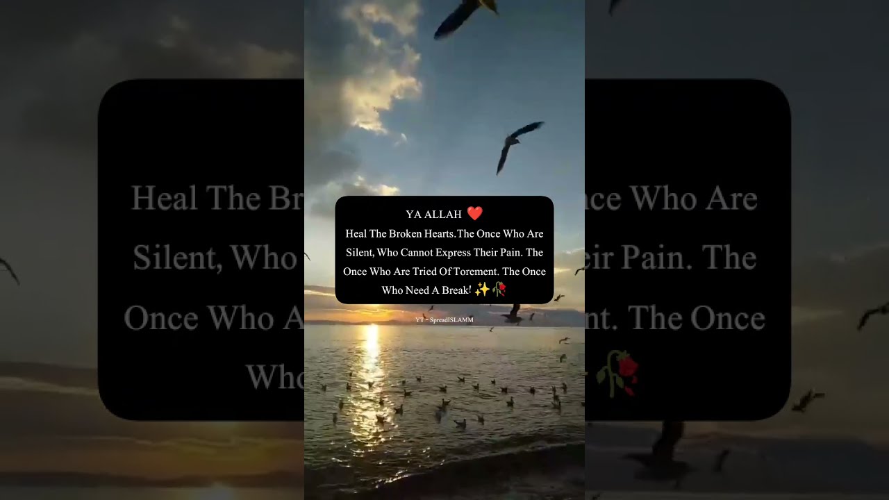 Ya Allah Heal The Broken Hearts SpreadISLAMM allah Ya Allah Heal The Broken Hearts SpreadISLAMM allah
