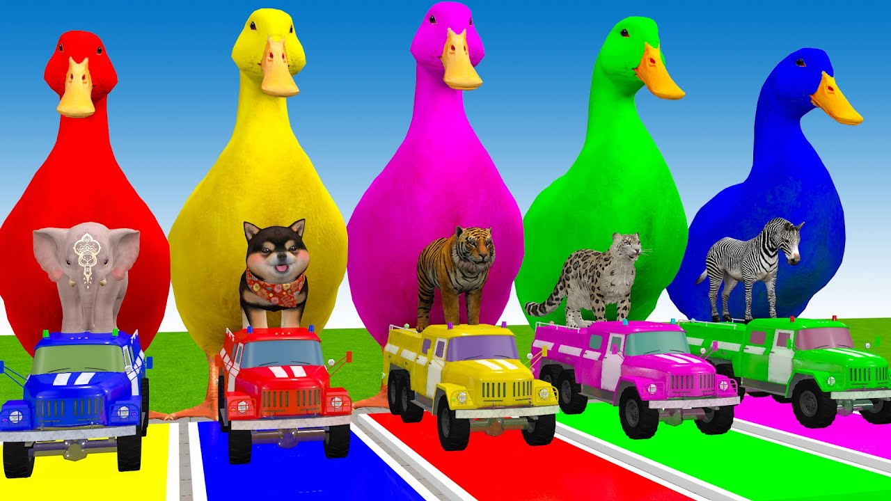 Long Slide Game With Cow Elephant Gorilla Hippopotamus Tiger 3d Animal Game Funny 3d Animals