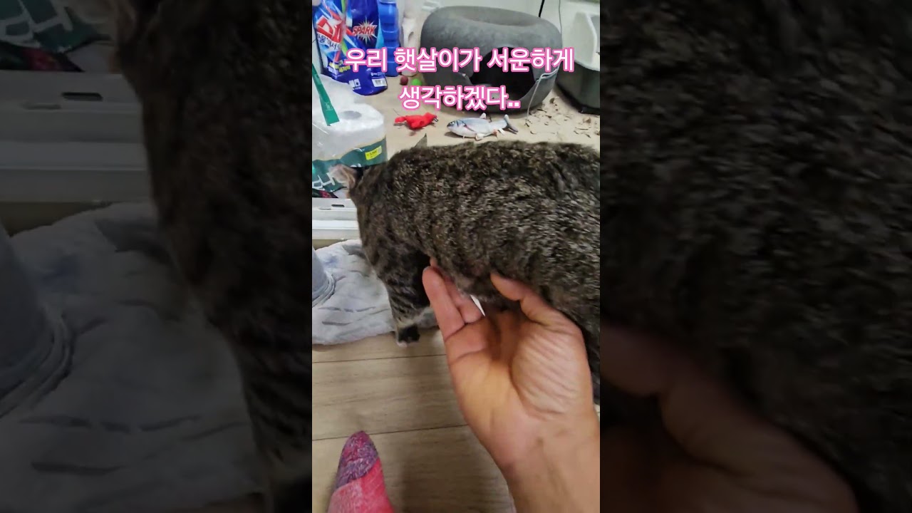 우리 딸 #햇살 #휴무 #부산강서구 #구독 #좋아요 #감사합니다
