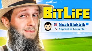 Bitlife but I'm a terrible Amish man