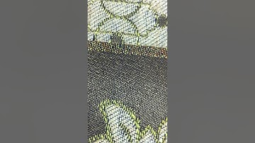 سورة الفاتحة وسورة الفيل