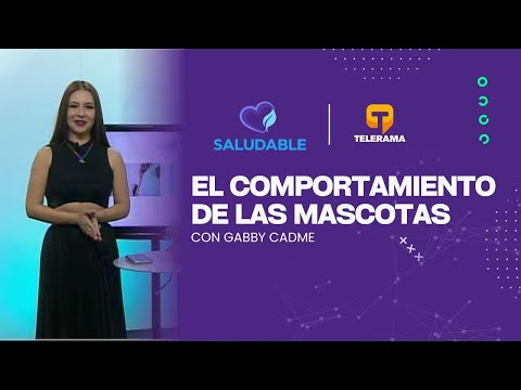 Saludable Pets: El comportamiento de las Mascotas