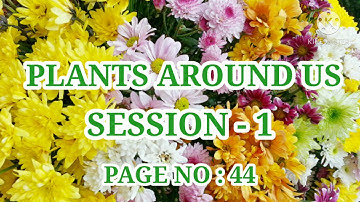 PLANTS AROUND US (మన చుట్టూ ఉండే మొక్కలు) - 4th -  EVS